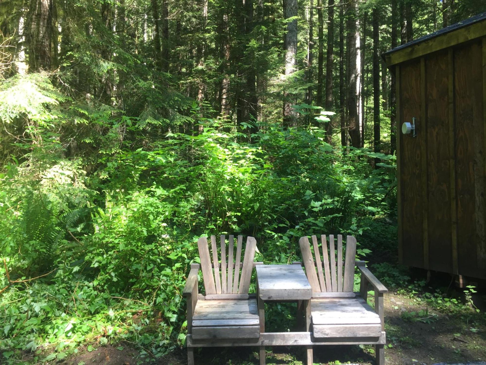 Alexander'S Lodge Ashford Esterno foto