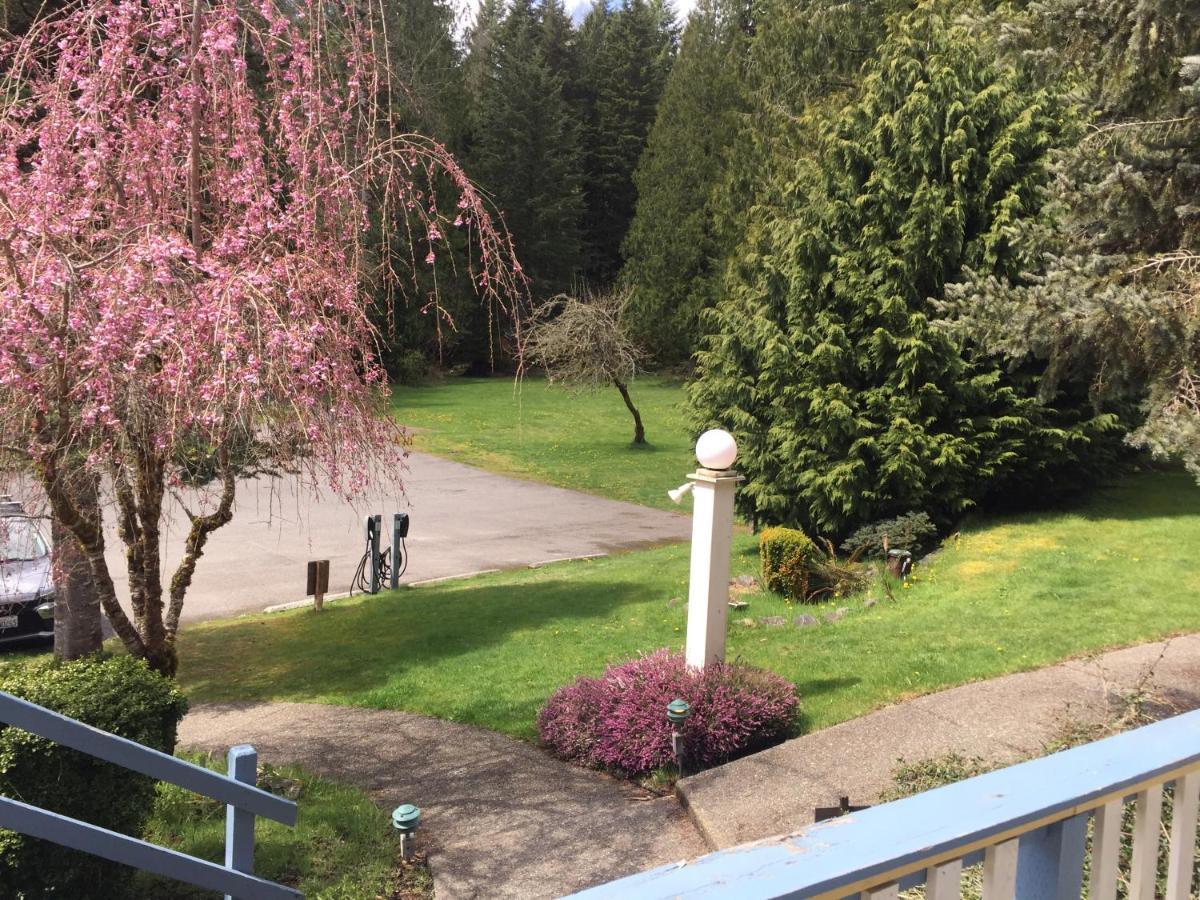 Alexander'S Lodge Ashford Esterno foto